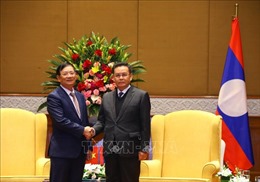Đoàn đại biểu Hội hữu nghị Việt Nam – Lào chào xã giao Chủ tịch Quốc hội Lào Xaysomphone Phomvihane