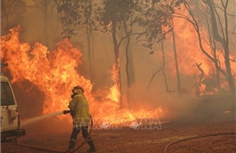 Cảnh báo tình trạng khẩn cấp vì cháy rừng ở Australia