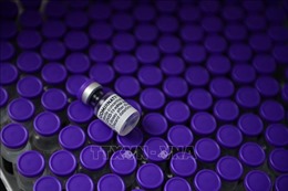 Australia hoàn trả Anh hàng triệu liều vaccine của hãng Pfizer/BioNTech