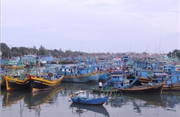 Bình Thuận và Thừa Thiên-Huế cấm biển từ ngày 18/12
