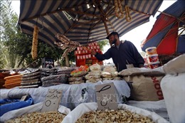 WFP tài trợ 431 triệu USD cho Ai Cập nhằm đảm bảo an ninh lương thực