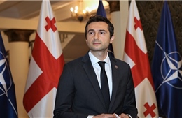 Chủ tịch Quốc hội Gruzia từ chức