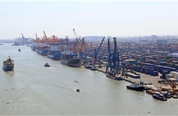 Khai thác tiềm năng thành phố của cảng biển, logistics