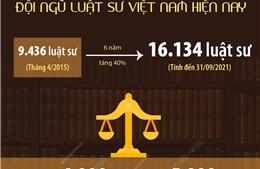 Một số thông tin về đội ngũ luật sư Việt Nam hiện nay