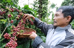 'Trụ đỡ' vững vàng vượt sóng về đích