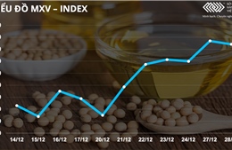 Bản tin MXV 29/12: Giá cà phê, bông, đường đồng loạt giảm