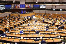 Bầu cử Chủ tịch Nghị viện châu Âu vẫn diễn ra theo kế hoạch