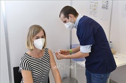 Bỉ ưu tiên sử dụng vaccine Novavax cho những người bị dị ứng
