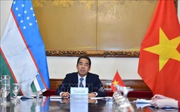 Tham vấn chính trị cấp Thứ trưởng Ngoại giao Việt Nam - Uzbekistan