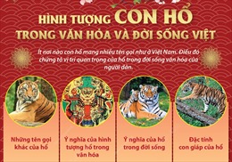 Hình tượng con hổ trong văn hóa và đời sống Việt