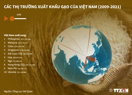 Các thị trường xuất khẩu gạo của Việt Nam