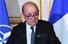 Pháp giải thích về đề xuất điều quân đến Romania