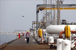 Giá dầu châu Á chiều 8/2 giảm từ mức cao kỷ lục bảy năm