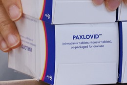 Bộ Y tế Nhật Bản cấp phép sử dụng thuốc điều trị COVID-19 dạng uống của Pfizer