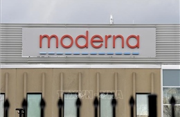 Hãng Moderna Inc mở thêm 4 cơ sở sản xuất vaccine tại châu Á