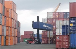Phát triển đội tàu container: Tạo động lực thúc đẩy xuất nhập khẩu tăng trưởng