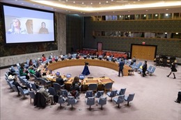 Hội đồng bảo an Liên hợp quốc họp khẩn về Ukraine 