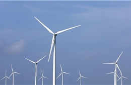 Công ty con của SK Group tăng cường đầu tư vào năng lượng tái tạo ở Việt Nam