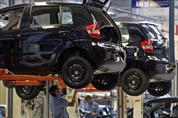 Volkswagen ngừng nhận đơn đặt hàng đối với một số mẫu xe hybrid