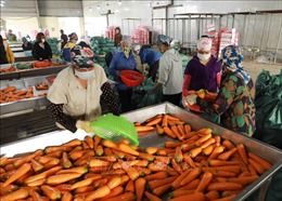 Cơ hội để nông sản Việt khẳng định vị thế trên thị trường toàn cầu