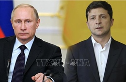Ukraine xác nhận vòng đàm phán trực tuyến mới với Nga