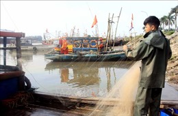 Ngư dân Thái Bình vẫn bám biển dù khó khăn chồng chất