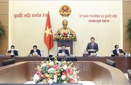 Cho ý kiến về dự án Luật Thực hiện dân chủ ở xã, phường, thị trấn