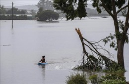 Mưa lớn tiếp tục gây ngập lụt ở miền Đông Australia