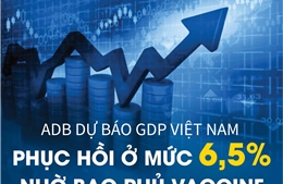  ADB dự báo GDP Việt Nam phục hồi ở mức 6,5% nhờ bao phủ vaccine