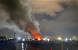 Khó khăn trong phòng cháy, chữa cháy tại các cảng cá Bình Định