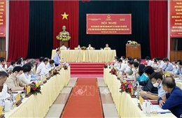 Giám sát việc dừng thực hiện chủ trương đầu tư dự án điện hạt nhân Ninh Thuận