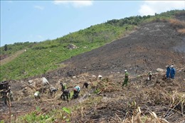 Đắk Lắk: Làm rõ trách nhiệm tập thể, cá nhân liên quan các vụ phá rừng tại huyện Lắk