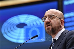 Hội đồng châu Âu đề nghị EU trao quy chế ứng cử viên cho Ukraine, Moldova 