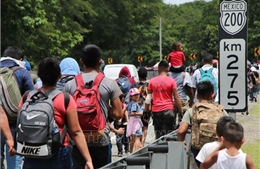 Mexico tìm kiếm 31 người di cư bị bắt cóc 