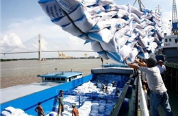 Doanh nghiệp xuất khẩu gạo gặp khó