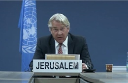 Liên hợp quốc kêu gọi các bên nỗ lực trong tiến trình hòa bình Trung Đông
