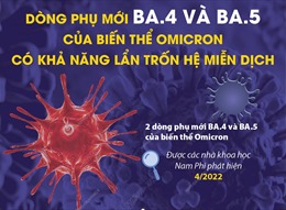 Dòng phụ mới BA.4 và BA.5 của biến thể Omicron có khả năng lẩn trốn hệ miễn dịch