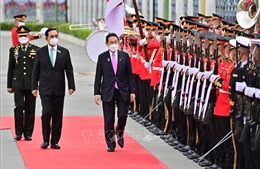 Nhật Bản, Thái Lan tăng cường quan hệ song phương
