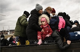 Nhiều quốc gia yêu cầu EU bổ sung ngân sách hỗ trợ người tị nạn từ Ukraine