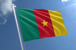 Điện mừng Quốc khánh Cộng hoà Cameroon