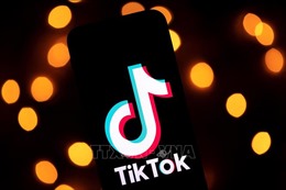 TikTok tạm dừng thay đổi chính sách thu thập dữ liệu tại châu Âu 