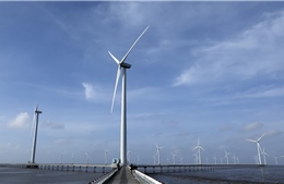 Cà Mau đặt mục tiêu đóng góp trên 6.500MW điện gió vào hệ thống điện quốc gia