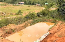 Lâm Đồng: Hai em nhỏ tử vong trong hồ chứa nước tưới cà phê