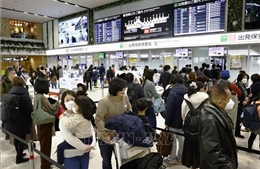 Nhật Bản: Nâng giới hạn người nhập cảnh và mở cửa hơn cho khách quốc tế