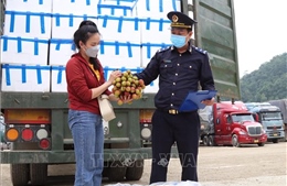 Lạng Sơn: Hỗ trợ tốt nhất cho xuất khẩu hoa quả tươi