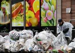OECD cảnh báo rác thải nhựa trên toàn cầu sẽ tăng gấp 3 lần vào năm 2060