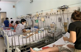 TP Hồ Chí Minh: Số ca mắc sốt xuất huyết liên tục tăng nhanh
