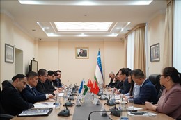 Việt Nam, Uzbekistan khẳng định quyết tâm thúc đẩy quan hệ hợp tác song phương