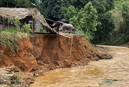 Lào Cai: Nhiều tuyến đường, hàng trăm ngôi nhà bị ngập úng, chia cắt