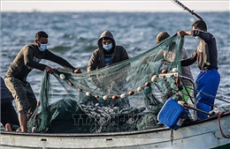 WTO hy vọng đạt thỏa thuận toàn cầu về giảm trợ cấp đánh bắt cá